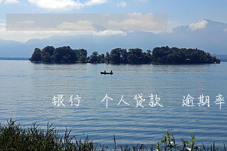 银行 个人贷款 逾期率 银行 个人贷款 逾期率